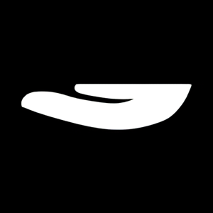 Dng Company